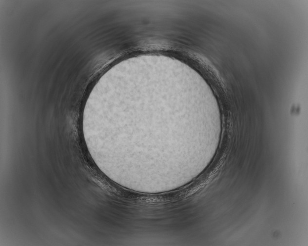 X0000097601217200803280943