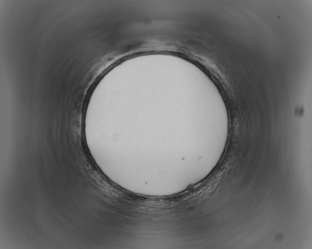 X0000097601220200803280943