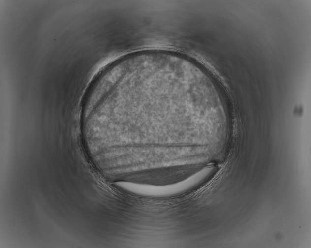 X0000097601222200803280943