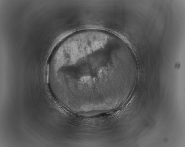 X0000097601223200803280943