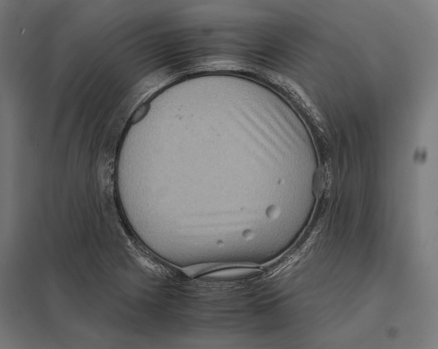 X0000097601225200803280943