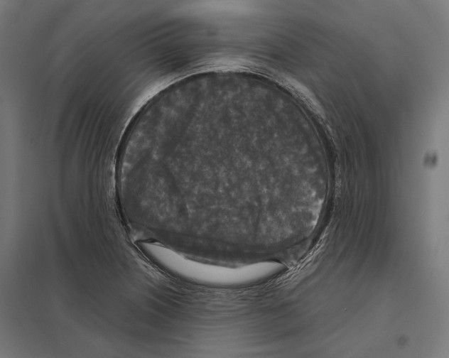 X0000097601226200803280943