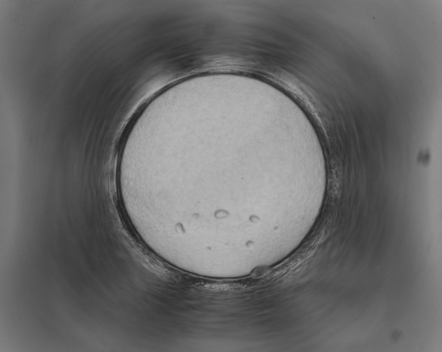 X0000097601227200803280943