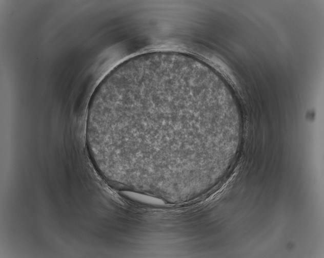 X0000097601228200803280943