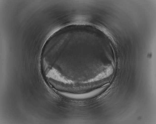 X0000097601229200803280943