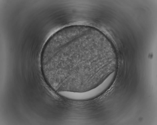 X0000097601230200803280943