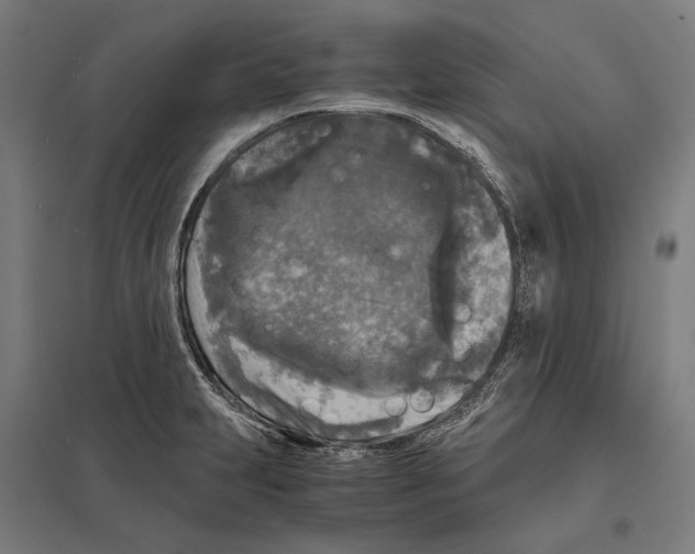 X0000097601231200803280943