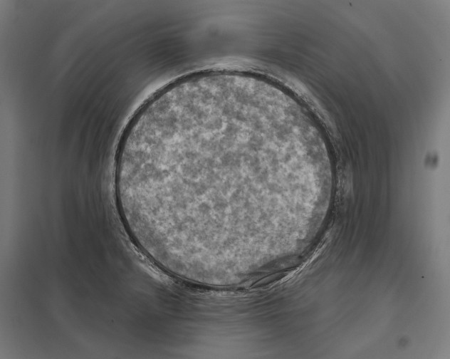 X0000097601232200803280943