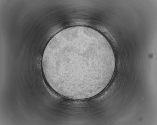 X0000097601233200803280943