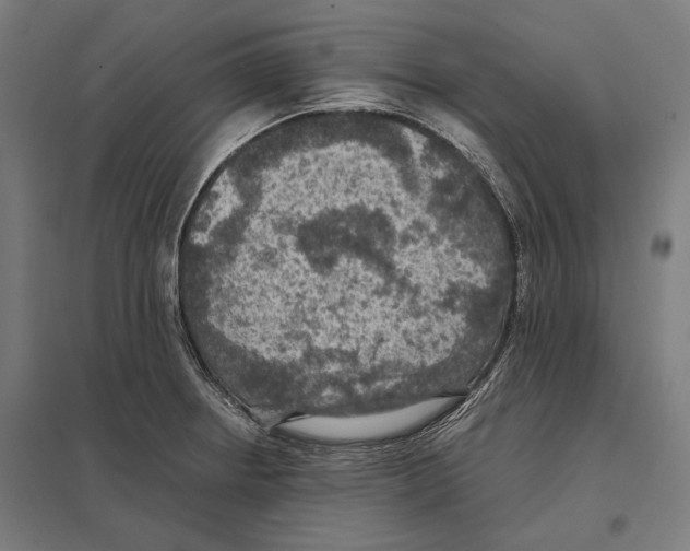 X0000097601234200803280943