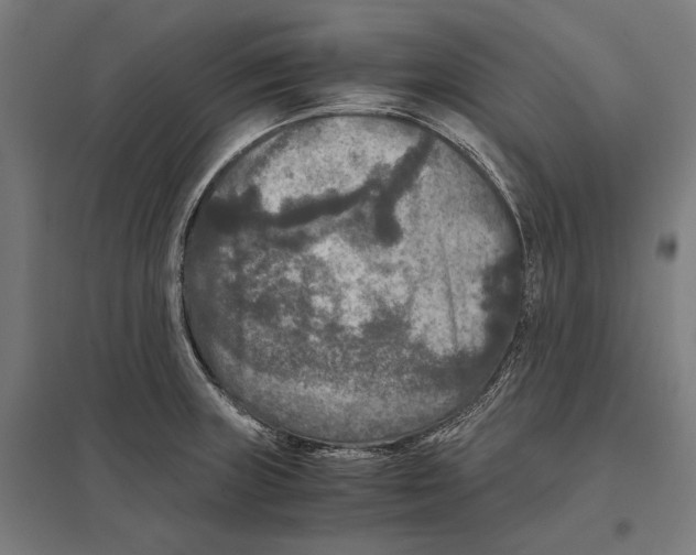 X0000097601235200803280943