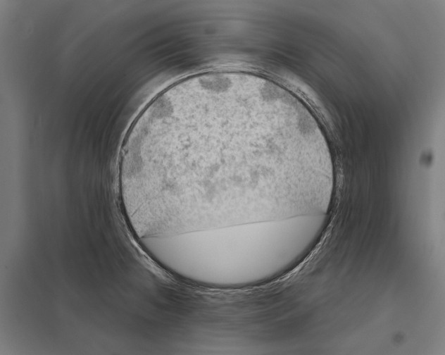 X0000097601236200803280943