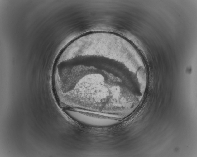 X0000097601237200803280943