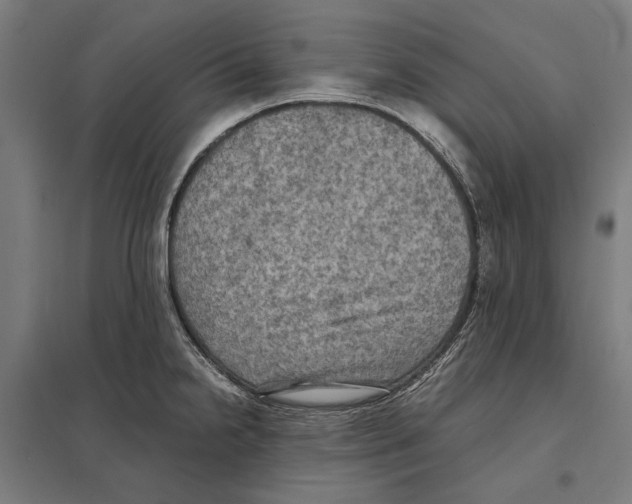 X0000097601238200803280943