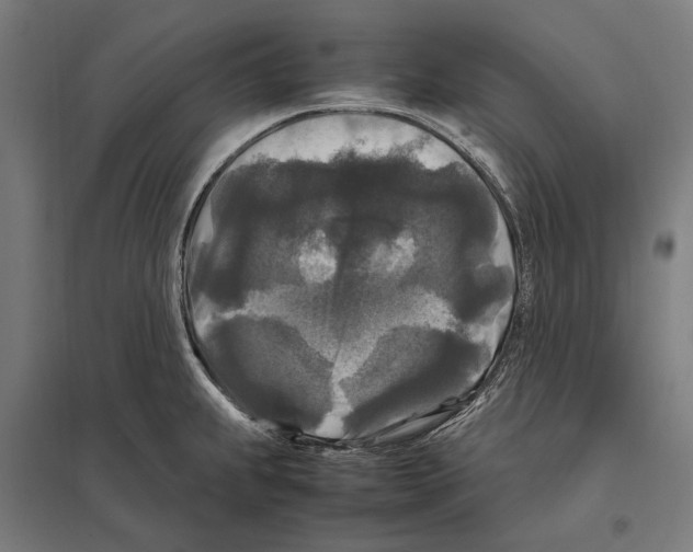 X0000097601239200803280943