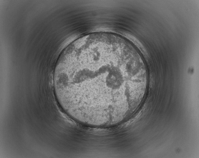 X0000097601241200803280943