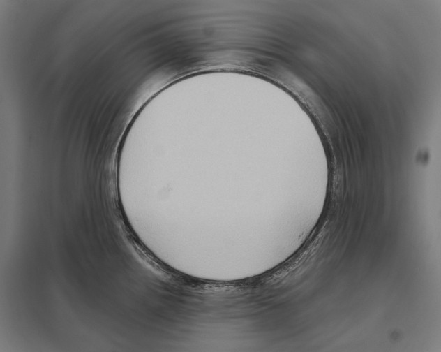 X0000097601242200803280943