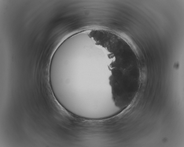 X0000097601244200803280943