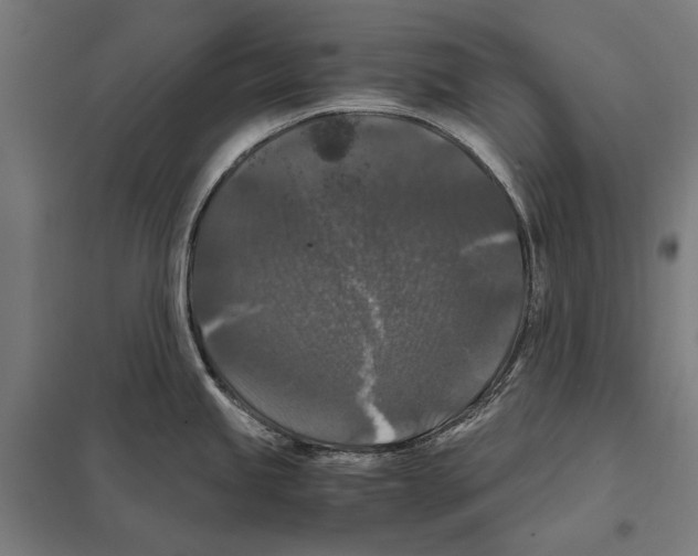 X0000097601245200803280943