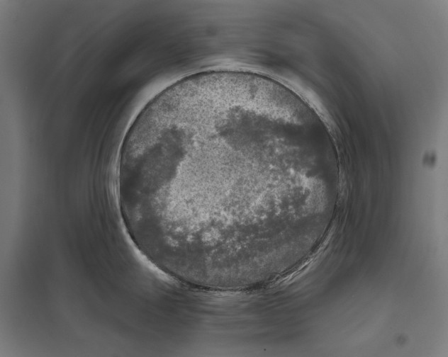 X0000097601247200803280943