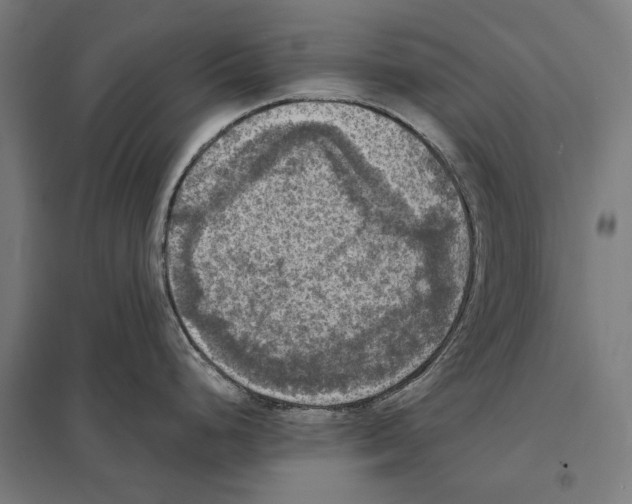 X0000097601248200803280943