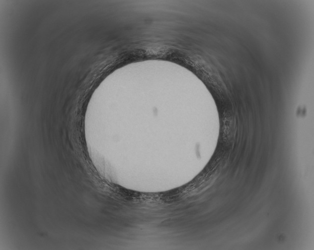 X0000097601249200803280942