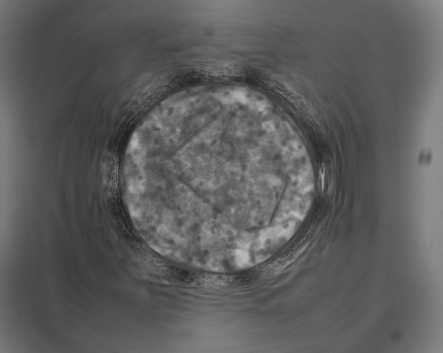 X0000097601251200803280942