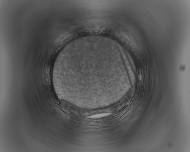 X0000097601252200803280942