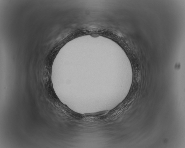 X0000097601253200803280942