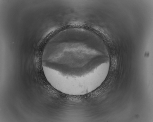 X0000097601254200803280942