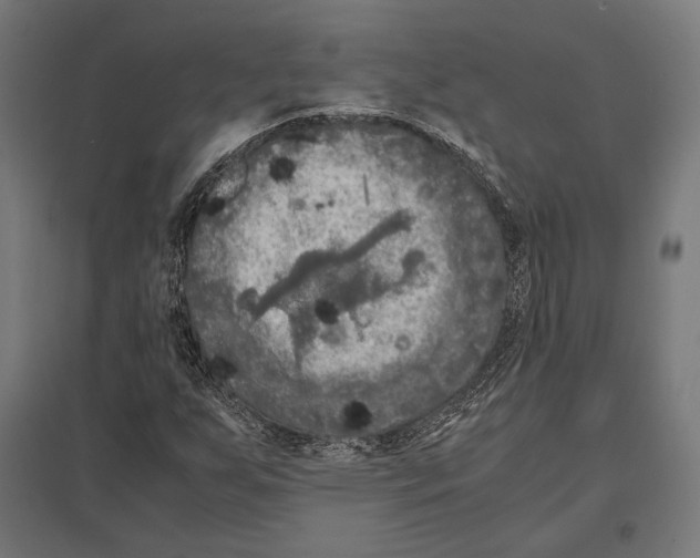 X0000097601255200803280942