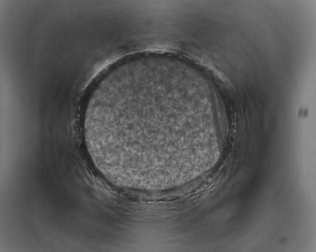 X0000097601256200803280942