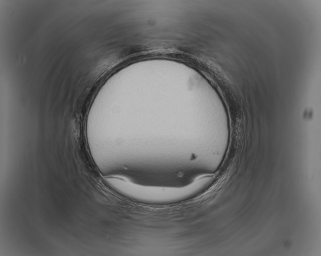 X0000097601257200803280942