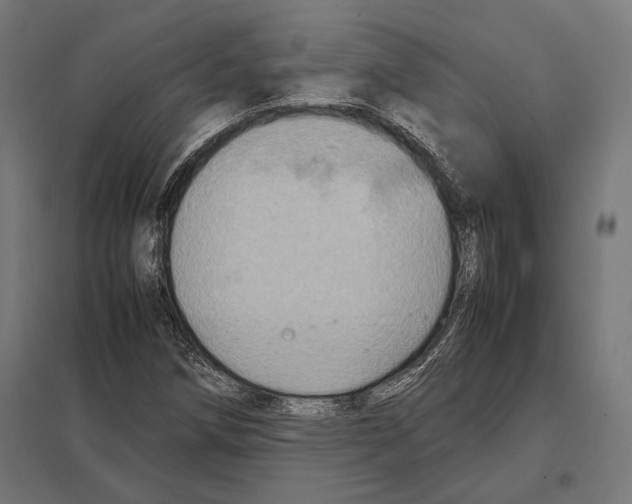 X0000097601258200803280942