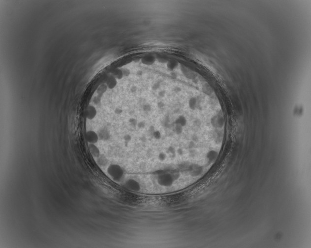 X0000097601259200803280942