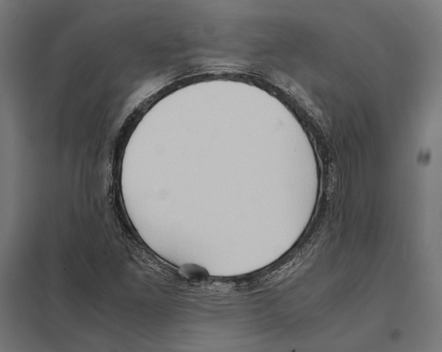 X0000097601261200803280942