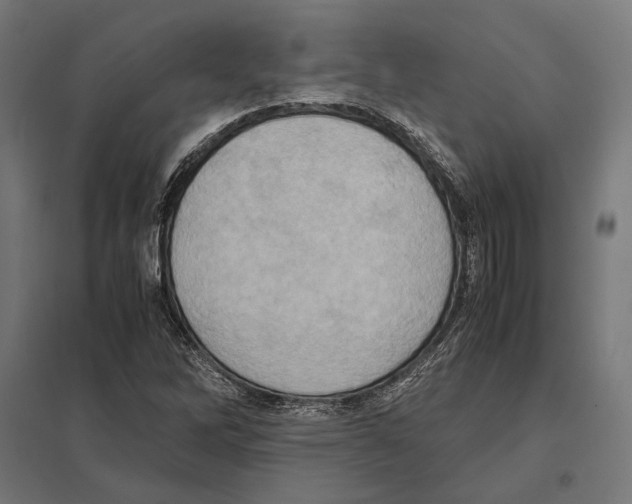 X0000097601262200803280942