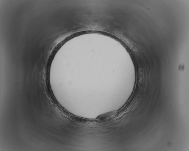 X0000097601264200803280942