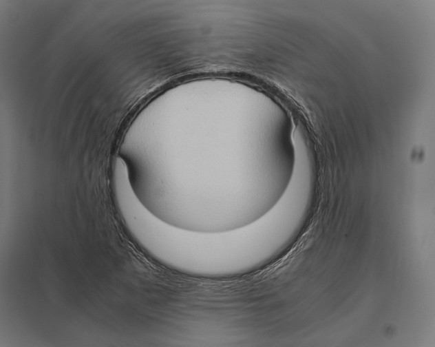 X0000097601265200803280942