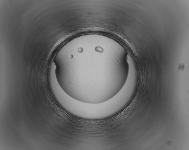 X0000097601266200803280942