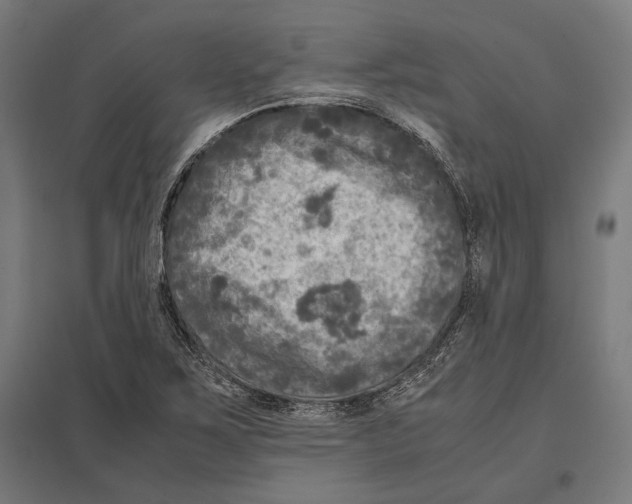 X0000097601267200803280942