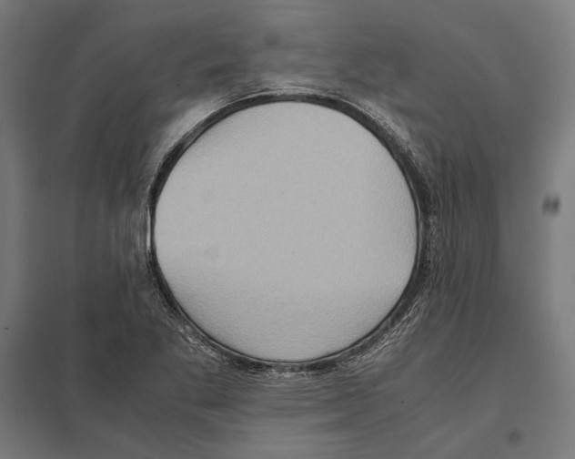 X0000097601269200803280942