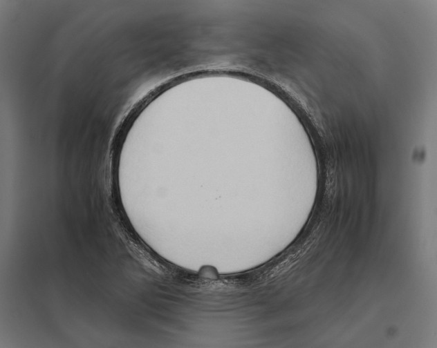 X0000097601270200803280942