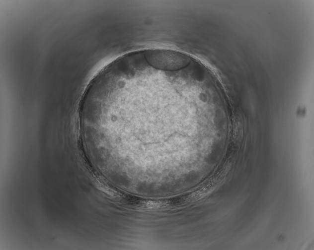 X0000097601271200803280942