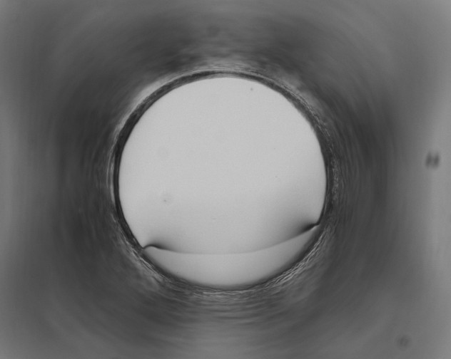 X0000097601272200803280942