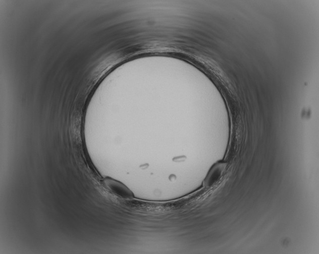 X0000097601273200803280942