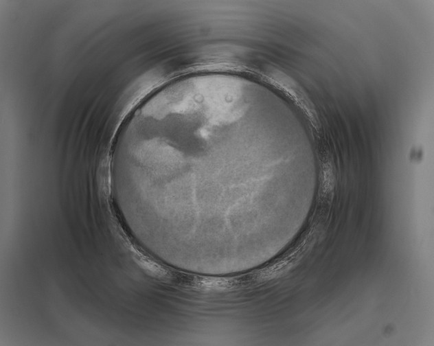 X0000097601274200803280942