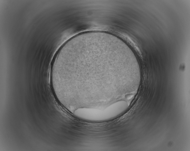 X0000097601276200803280942