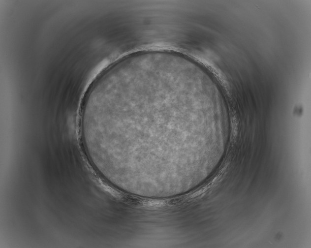 X0000097601278200803280942