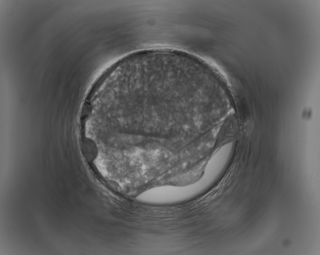 X0000097601279200803280942